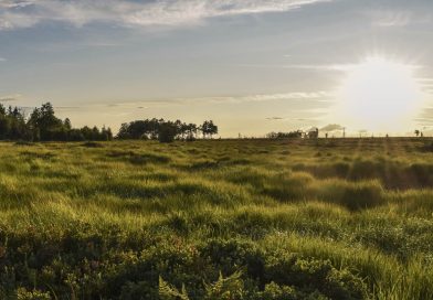 Lezing over veengrond in Staphorst