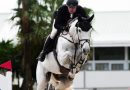 Michael Greeve uit Veeningen heeft afgelopen weekend met de 9-jarige Rubens de vijfsterren-rubriek over 1.50 meter bij het CSIO in Rotterdam gewonnen. (Foto Michael Greeve)
