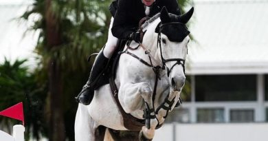 Michael Greeve uit Veeningen heeft afgelopen weekend met de 9-jarige Rubens de vijfsterren-rubriek over 1.50 meter bij het CSIO in Rotterdam gewonnen. (Foto Michael Greeve)