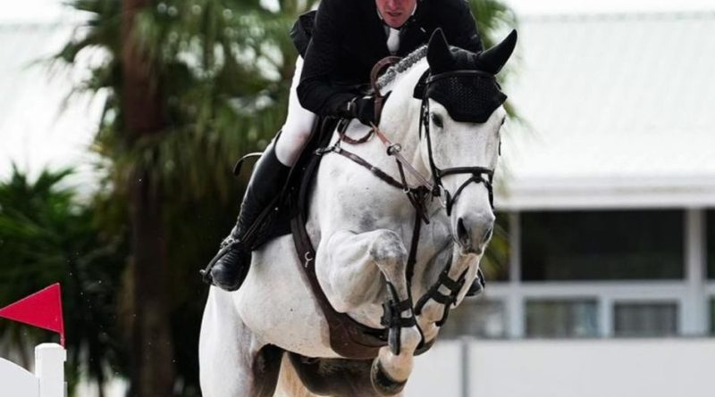 Michael Greeve uit Veeningen heeft afgelopen weekend met de 9-jarige Rubens de vijfsterren-rubriek over 1.50 meter bij het CSIO in Rotterdam gewonnen. (Foto Michael Greeve)