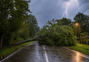 Het noodweer dat in de nacht van vrijdag op zaterdag over de streek trok, heeft voor veel schade gezorgd. Vooral omgewaaide bomen zorgden voor de nodige problemen. (Foto ChatGPT AI)