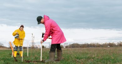 Ruim 4.000 bomen en struiken vorig jaar, Boomdeeldagen in Staphorst weer van start