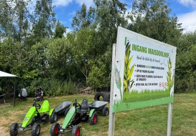 Slecht maisseizoen zorgt voor twijfel bij De Drentse Koe: “Kinderen konden er zo overheen kijken”