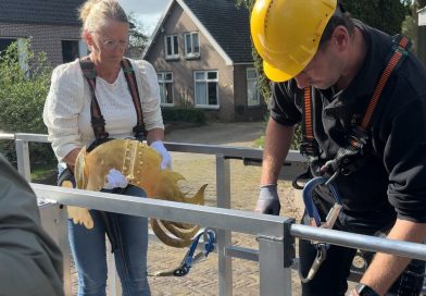 Na ruim anderhalf jaar staat de vergulde haan weer op de hervormde kerk in Zuidwolde. De haan werd in februari 2025 van de toren gehaald vanwege de restauratie van de spits. Maandag keerde hij terug op zijn vertrouwde plek. Daarmee is een zichtbaar onderdeel van de kerkrestauratie afgerond, maar het grootste werk moet nog beginnen.