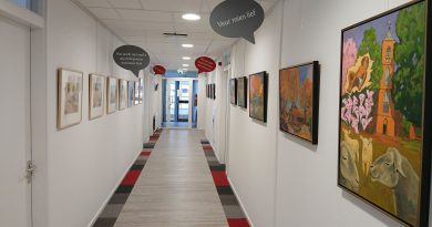 Meppeler kunstenaar Steven Kost exposeert in Huus van de Taol