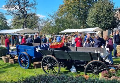 Deze week in onze streek: kinderboekenruilmarkt, peren plukken en een gamebeurs