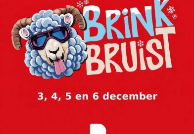 Decembervermaak in Ruinen verder als stichting Brink Bruist: ‘Groter kan niet’