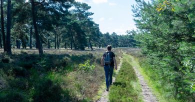 De Wolden biedt 75 inwoners gratis leefstijlprogramma van 90 dagen aan (Foto pexels-jan-van-der-wolf-11680885-32038744)
