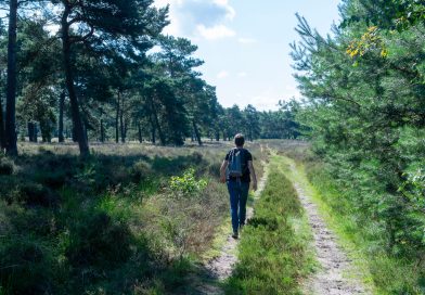 De Wolden biedt 75 inwoners gratis leefstijlprogramma van 90 dagen aan (Foto pexels-jan-van-der-wolf-11680885-32038744)