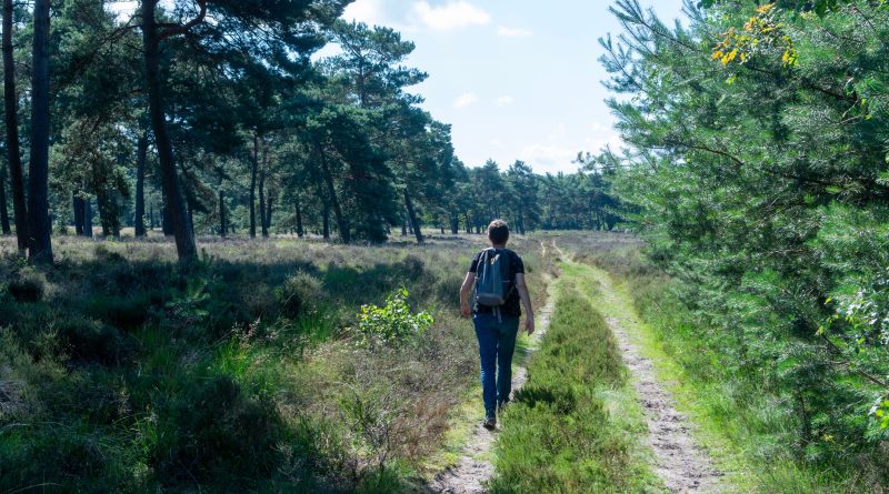 De Wolden biedt 75 inwoners gratis leefstijlprogramma van 90 dagen aan (Foto pexels-jan-van-der-wolf-11680885-32038744)